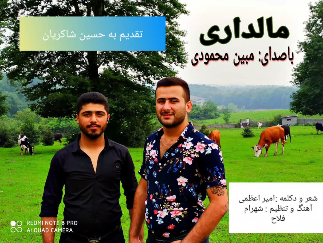 مبین محمودی مالداری